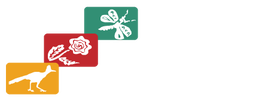 Cedars Montessori School